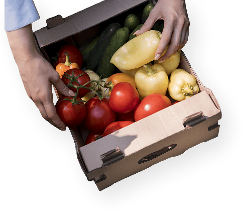 Une personne prenant un poivron et une tomate dans un panier