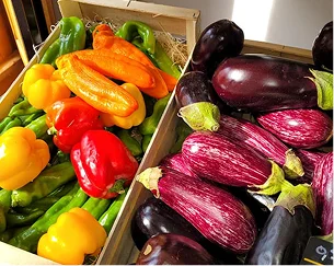 Proivrons et aubergines dans des cageots en vrac